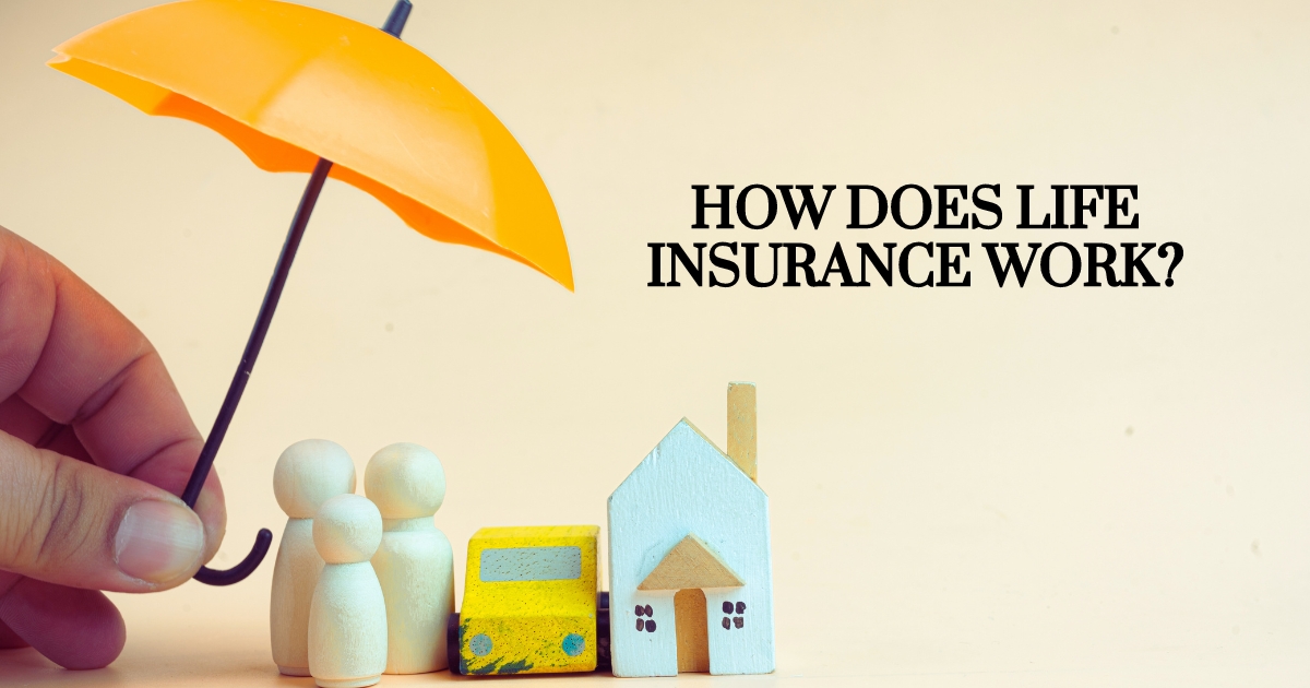 How Does Life Insurance Work